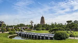 2026美加墨世界杯官网 汉川市容绿化管理局